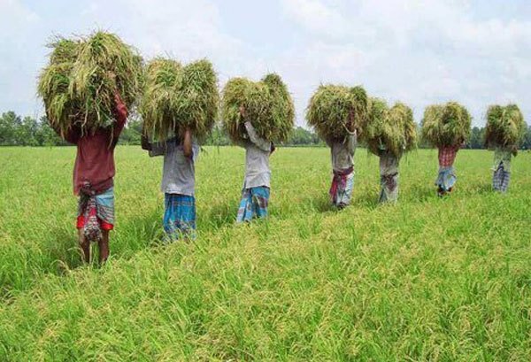 Biniyougbarta | বিনিয়োগবার্তা: ব্যবসা-বাণিজ্য, শিল্প-বিনিয়োগের খবর প্রতিদিন সবসময়