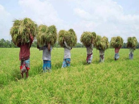 Biniyougbarta | বিনিয়োগবার্তা: ব্যবসা-বাণিজ্য, শিল্প-বিনিয়োগের খবর প্রতিদিন সবসময়