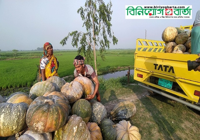 Biniyougbarta | বিনিয়োগবার্তা: ব্যবসা-বাণিজ্য, শিল্প-বিনিয়োগের খবর প্রতিদিন সবসময়