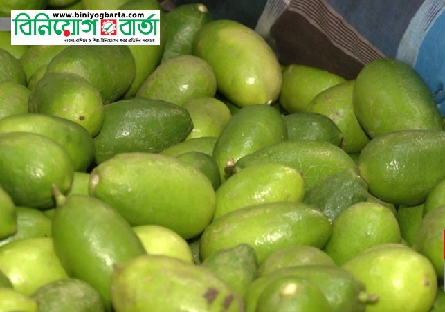 Biniyougbarta | বিনিয়োগবার্তা: ব্যবসা-বাণিজ্য, শিল্প-বিনিয়োগের খবর প্রতিদিন সবসময়