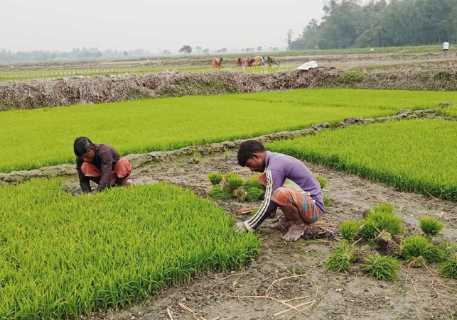Biniyougbarta | বিনিয়োগবার্তা: ব্যবসা-বাণিজ্য, শিল্প-বিনিয়োগের খবর প্রতিদিন সবসময়