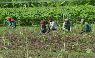 Biniyougbarta | বিনিয়োগবার্তা: ব্যবসা-বাণিজ্য, শিল্প-বিনিয়োগের খবর প্রতিদিন সবসময়