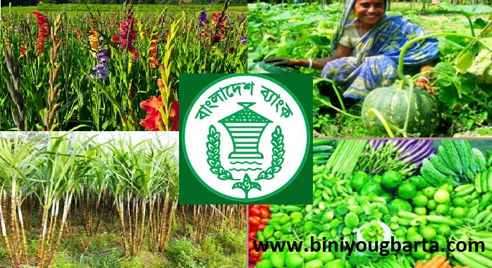 Biniyougbarta | বিনিয়োগবার্তা: ব্যবসা-বাণিজ্য, শিল্প-বিনিয়োগের খবর প্রতিদিন সবসময়