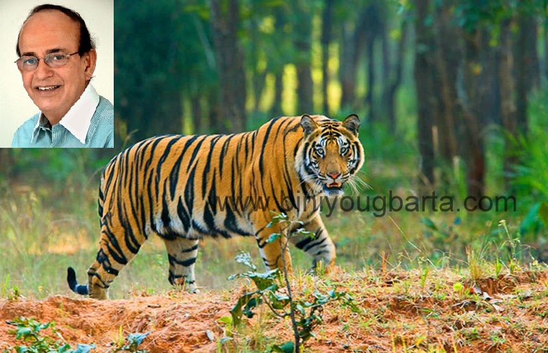 Biniyougbarta | বিনিয়োগবার্তা: ব্যবসা-বাণিজ্য, শিল্প-বিনিয়োগের খবর প্রতিদিন সবসময়