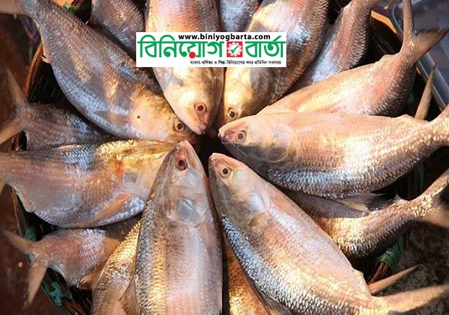 Biniyougbarta | বিনিয়োগবার্তা: ব্যবসা-বাণিজ্য, শিল্প-বিনিয়োগের খবর প্রতিদিন সবসময়