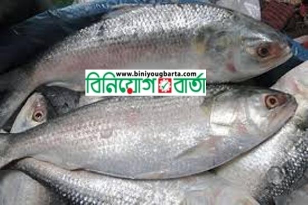 Biniyougbarta | বিনিয়োগবার্তা: ব্যবসা-বাণিজ্য, শিল্প-বিনিয়োগের খবর প্রতিদিন সবসময়
