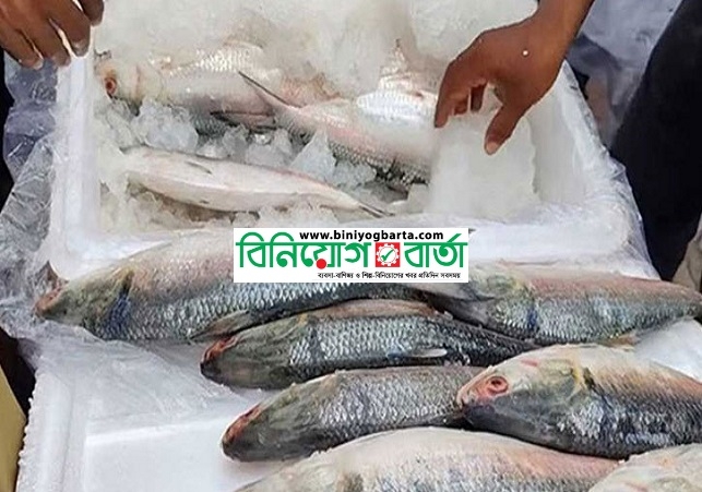 Biniyougbarta | বিনিয়োগবার্তা: ব্যবসা-বাণিজ্য, শিল্প-বিনিয়োগের খবর প্রতিদিন সবসময়