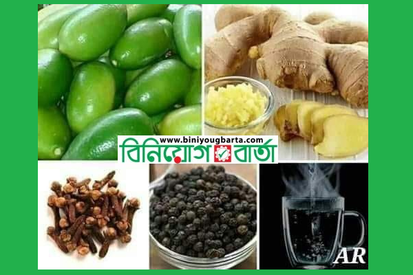 Biniyougbarta | বিনিয়োগবার্তা: ব্যবসা-বাণিজ্য, শিল্প-বিনিয়োগের খবর প্রতিদিন সবসময়