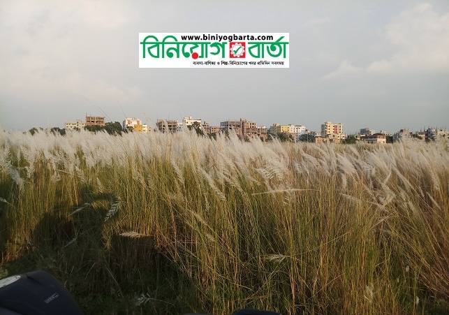Biniyougbarta | বিনিয়োগবার্তা: ব্যবসা-বাণিজ্য, শিল্প-বিনিয়োগের খবর প্রতিদিন সবসময়