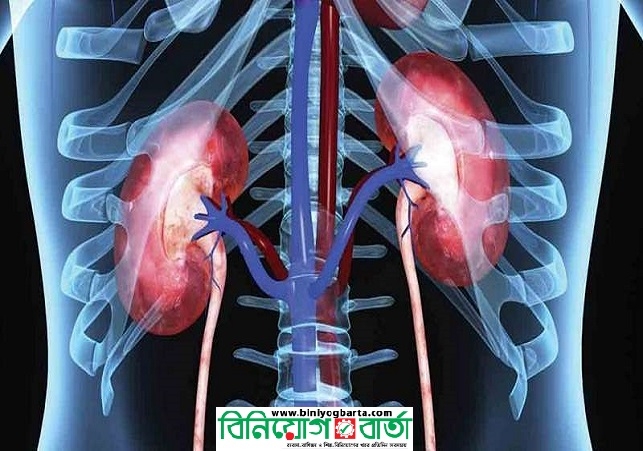 Biniyougbarta | বিনিয়োগবার্তা: ব্যবসা-বাণিজ্য, শিল্প-বিনিয়োগের খবর প্রতিদিন সবসময়