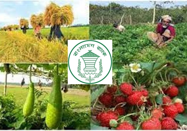 Biniyougbarta | বিনিয়োগবার্তা: ব্যবসা-বাণিজ্য, শিল্প-বিনিয়োগের খবর প্রতিদিন সবসময়