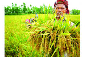 Biniyougbarta | বিনিয়োগবার্তা: ব্যবসা-বাণিজ্য, শিল্প-বিনিয়োগের খবর প্রতিদিন সবসময়