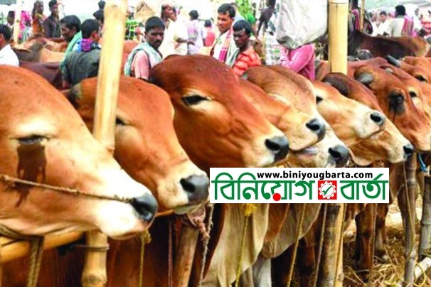Biniyougbarta | বিনিয়োগবার্তা: ব্যবসা-বাণিজ্য, শিল্প-বিনিয়োগের খবর প্রতিদিন সবসময়