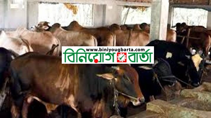 Biniyougbarta | বিনিয়োগবার্তা: ব্যবসা-বাণিজ্য, শিল্প-বিনিয়োগের খবর প্রতিদিন সবসময়