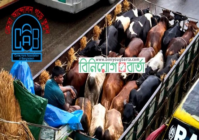 Biniyougbarta | বিনিয়োগবার্তা: ব্যবসা-বাণিজ্য, শিল্প-বিনিয়োগের খবর প্রতিদিন সবসময়