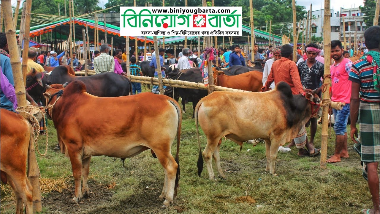 Biniyougbarta | বিনিয়োগবার্তা: ব্যবসা-বাণিজ্য, শিল্প-বিনিয়োগের খবর প্রতিদিন সবসময়