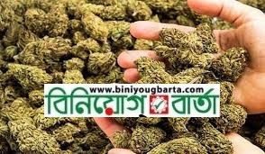 Biniyougbarta | বিনিয়োগবার্তা: ব্যবসা-বাণিজ্য, শিল্প-বিনিয়োগের খবর প্রতিদিন সবসময়