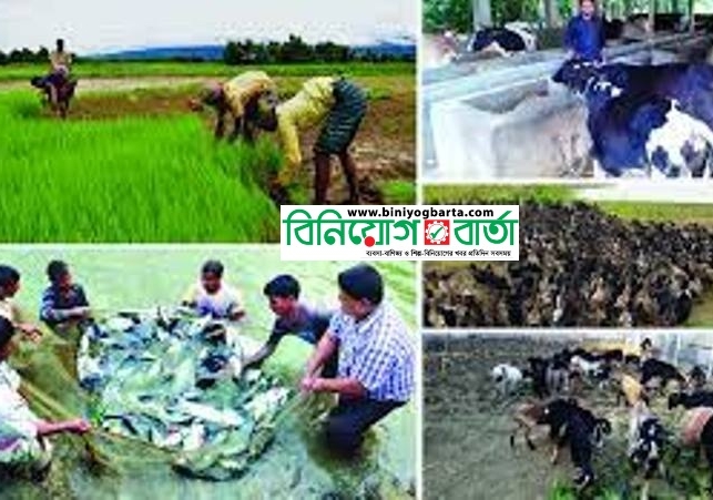 Biniyougbarta | বিনিয়োগবার্তা: ব্যবসা-বাণিজ্য, শিল্প-বিনিয়োগের খবর প্রতিদিন সবসময়