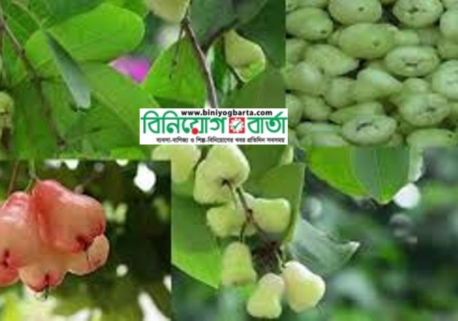 Biniyougbarta | বিনিয়োগবার্তা: ব্যবসা-বাণিজ্য, শিল্প-বিনিয়োগের খবর প্রতিদিন সবসময়
