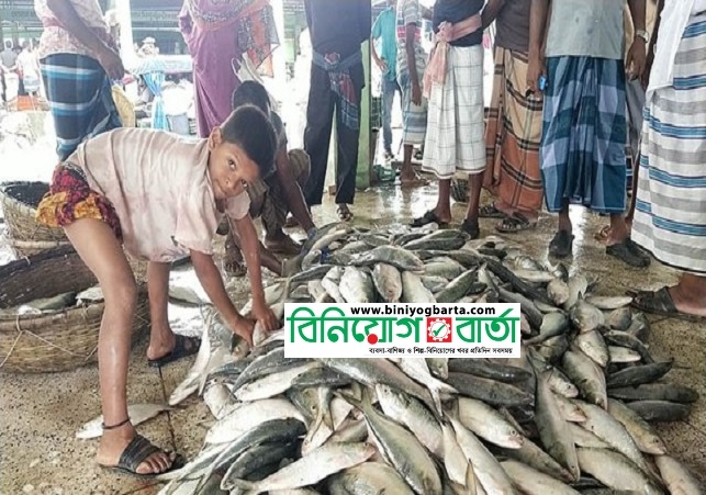Biniyougbarta | বিনিয়োগবার্তা: ব্যবসা-বাণিজ্য, শিল্প-বিনিয়োগের খবর প্রতিদিন সবসময়