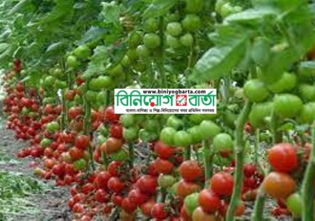 Biniyougbarta | বিনিয়োগবার্তা: ব্যবসা-বাণিজ্য, শিল্প-বিনিয়োগের খবর প্রতিদিন সবসময়