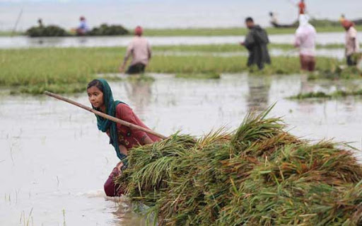 Biniyougbarta | বিনিয়োগবার্তা: ব্যবসা-বাণিজ্য, শিল্প-বিনিয়োগের খবর প্রতিদিন সবসময়