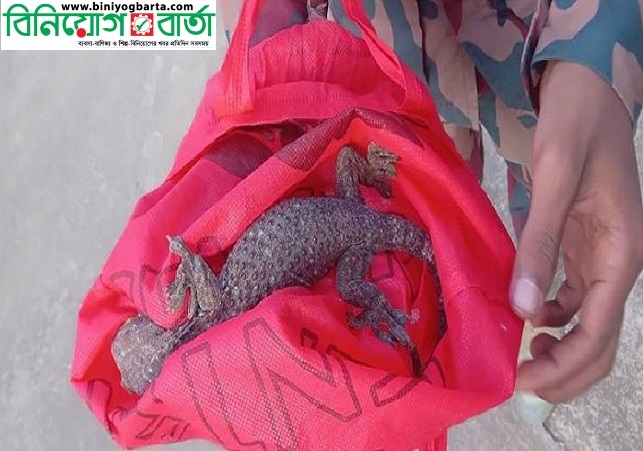 Biniyougbarta | বিনিয়োগবার্তা: ব্যবসা-বাণিজ্য, শিল্প-বিনিয়োগের খবর প্রতিদিন সবসময়