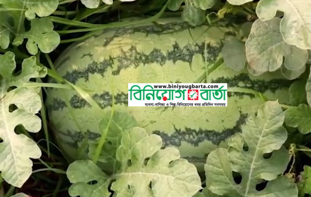 Biniyougbarta | বিনিয়োগবার্তা: ব্যবসা-বাণিজ্য, শিল্প-বিনিয়োগের খবর প্রতিদিন সবসময়