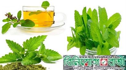 Biniyougbarta | বিনিয়োগবার্তা: ব্যবসা-বাণিজ্য, শিল্প-বিনিয়োগের খবর প্রতিদিন সবসময়