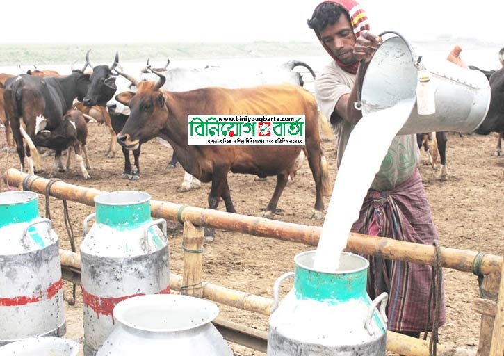 Biniyougbarta | বিনিয়োগবার্তা: ব্যবসা-বাণিজ্য, শিল্প-বিনিয়োগের খবর প্রতিদিন সবসময়