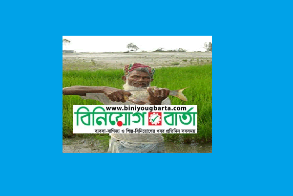Biniyougbarta | বিনিয়োগবার্তা: ব্যবসা-বাণিজ্য, শিল্প-বিনিয়োগের খবর প্রতিদিন সবসময়