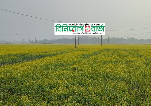 Biniyougbarta | বিনিয়োগবার্তা: ব্যবসা-বাণিজ্য, শিল্প-বিনিয়োগের খবর প্রতিদিন সবসময়