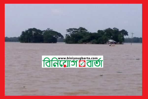 Biniyougbarta | বিনিয়োগবার্তা: ব্যবসা-বাণিজ্য, শিল্প-বিনিয়োগের খবর প্রতিদিন সবসময়