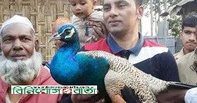 Biniyougbarta | বিনিয়োগবার্তা: ব্যবসা-বাণিজ্য, শিল্প-বিনিয়োগের খবর প্রতিদিন সবসময়