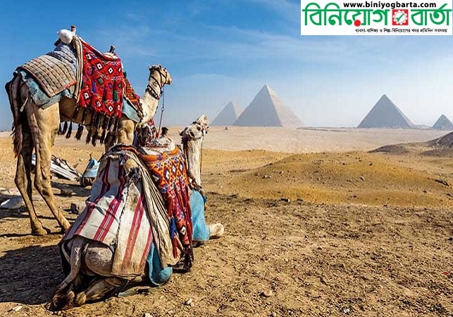 Biniyougbarta | বিনিয়োগবার্তা: ব্যবসা-বাণিজ্য, শিল্প-বিনিয়োগের খবর প্রতিদিন সবসময়