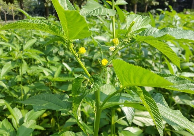 Biniyougbarta | বিনিয়োগবার্তা: ব্যবসা-বাণিজ্য, শিল্প-বিনিয়োগের খবর প্রতিদিন সবসময়