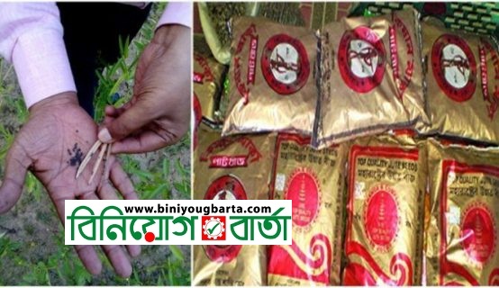 Biniyougbarta | বিনিয়োগবার্তা: ব্যবসা-বাণিজ্য, শিল্প-বিনিয়োগের খবর প্রতিদিন সবসময়