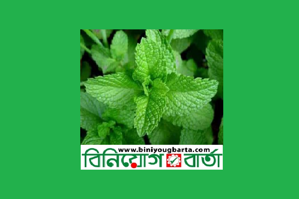 Biniyougbarta | বিনিয়োগবার্তা: ব্যবসা-বাণিজ্য, শিল্প-বিনিয়োগের খবর প্রতিদিন সবসময়
