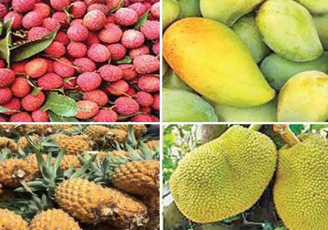 Biniyougbarta | বিনিয়োগবার্তা: ব্যবসা-বাণিজ্য, শিল্প-বিনিয়োগের খবর প্রতিদিন সবসময়