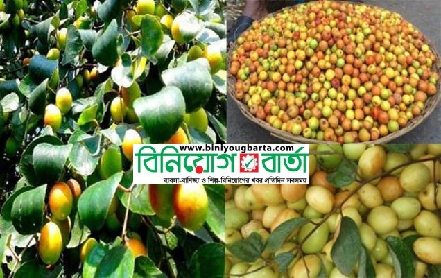 Biniyougbarta | বিনিয়োগবার্তা: ব্যবসা-বাণিজ্য, শিল্প-বিনিয়োগের খবর প্রতিদিন সবসময়
