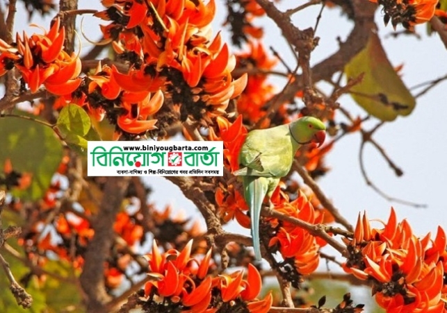 Biniyougbarta | বিনিয়োগবার্তা: ব্যবসা-বাণিজ্য, শিল্প-বিনিয়োগের খবর প্রতিদিন সবসময়