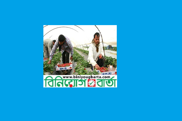 Biniyougbarta | বিনিয়োগবার্তা: ব্যবসা-বাণিজ্য, শিল্প-বিনিয়োগের খবর প্রতিদিন সবসময়