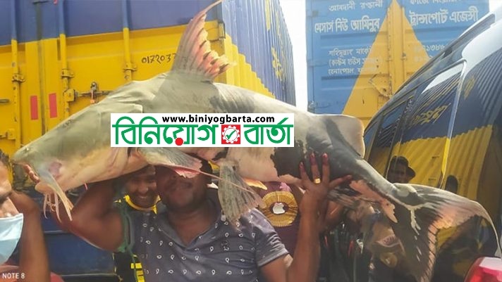Biniyougbarta | বিনিয়োগবার্তা: ব্যবসা-বাণিজ্য, শিল্প-বিনিয়োগের খবর প্রতিদিন সবসময়