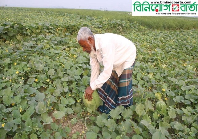 Biniyougbarta | বিনিয়োগবার্তা: ব্যবসা-বাণিজ্য, শিল্প-বিনিয়োগের খবর প্রতিদিন সবসময়