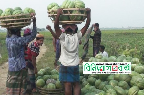 Biniyougbarta | বিনিয়োগবার্তা: ব্যবসা-বাণিজ্য, শিল্প-বিনিয়োগের খবর প্রতিদিন সবসময়
