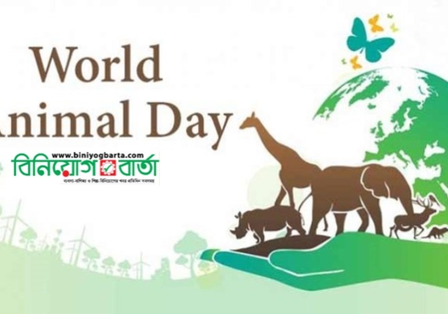 Biniyougbarta | বিনিয়োগবার্তা: ব্যবসা-বাণিজ্য, শিল্প-বিনিয়োগের খবর প্রতিদিন সবসময়