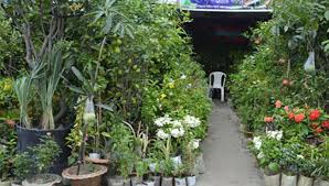 Biniyougbarta | বিনিয়োগবার্তা: ব্যবসা-বাণিজ্য, শিল্প-বিনিয়োগের খবর প্রতিদিন সবসময়