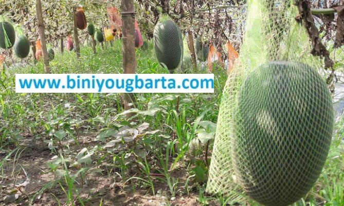 Biniyougbarta | বিনিয়োগবার্তা: ব্যবসা-বাণিজ্য, শিল্প-বিনিয়োগের খবর প্রতিদিন সবসময়