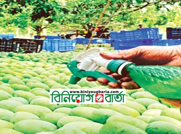 Biniyougbarta | বিনিয়োগবার্তা: ব্যবসা-বাণিজ্য, শিল্প-বিনিয়োগের খবর প্রতিদিন সবসময়