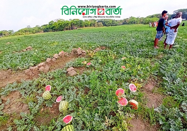 Biniyougbarta | বিনিয়োগবার্তা: ব্যবসা-বাণিজ্য, শিল্প-বিনিয়োগের খবর প্রতিদিন সবসময়